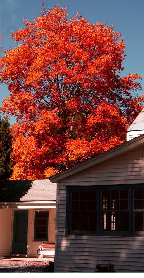 Arcady At The Sunderland Lodge アーリントン エクステリア 写真